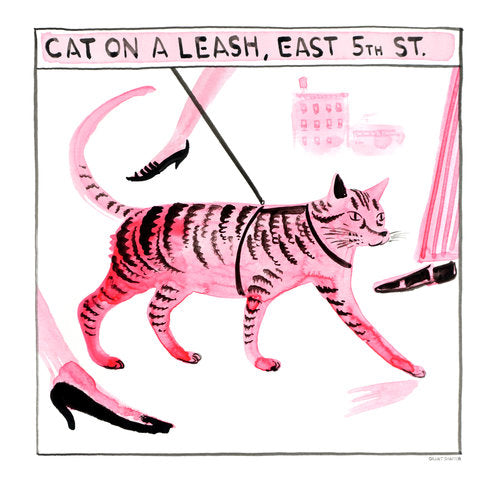 Grant Shaffer - Cat On a Leash